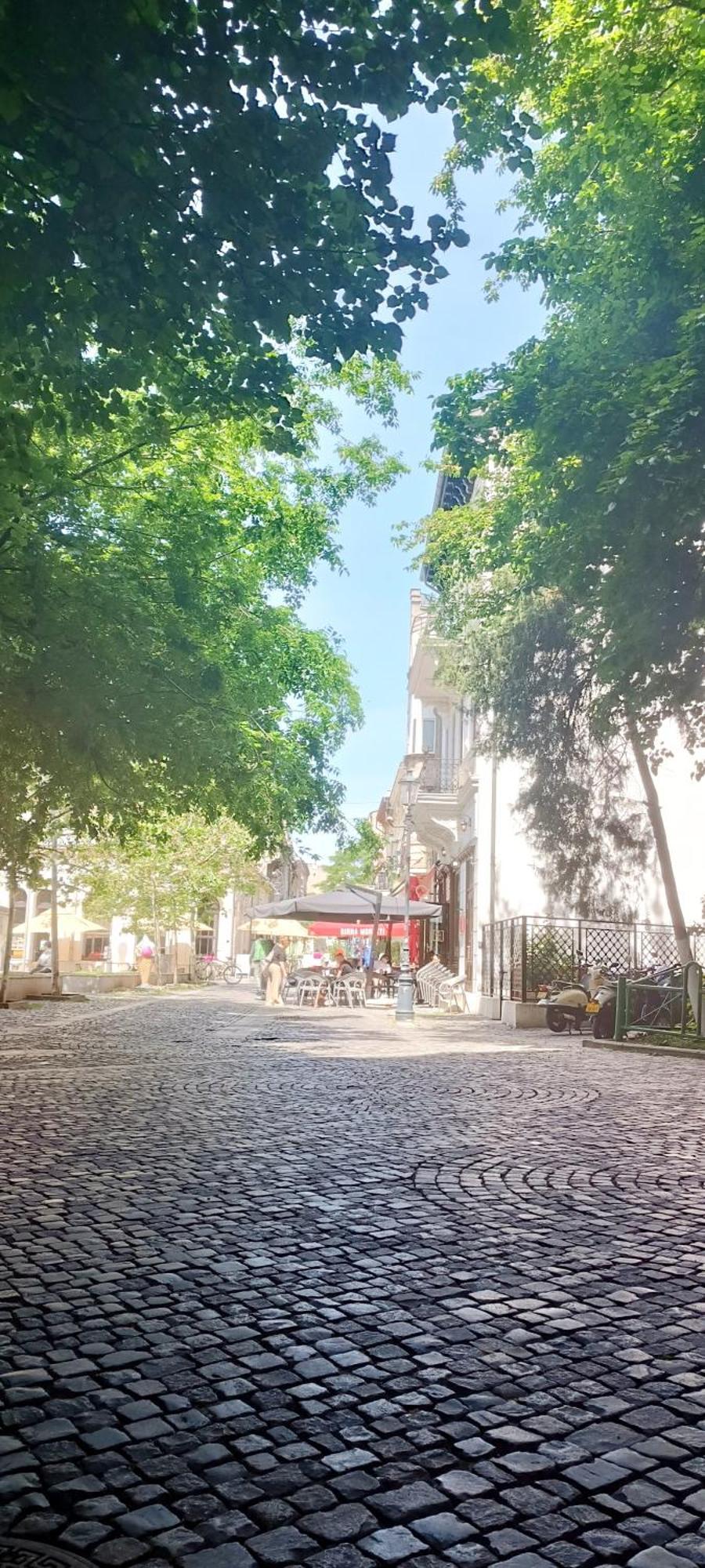 Enchanting Retreat - Historic Old Town - Pet-Friendly Haven - Steps From Unirii Bucureşti Ngoại thất bức ảnh